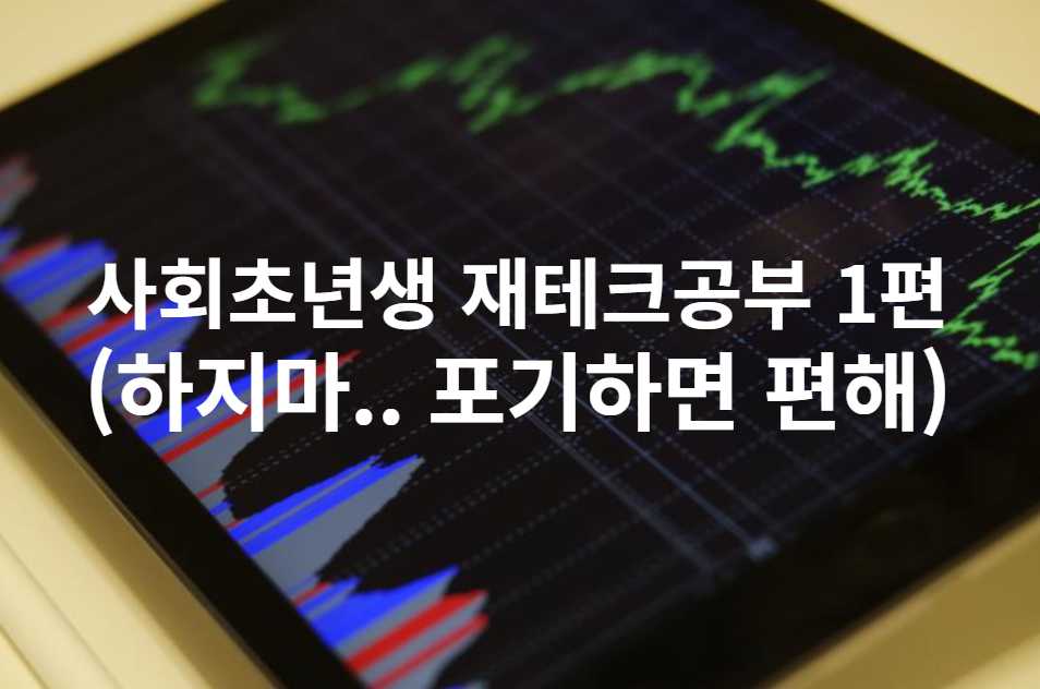 사회초년생 재테크