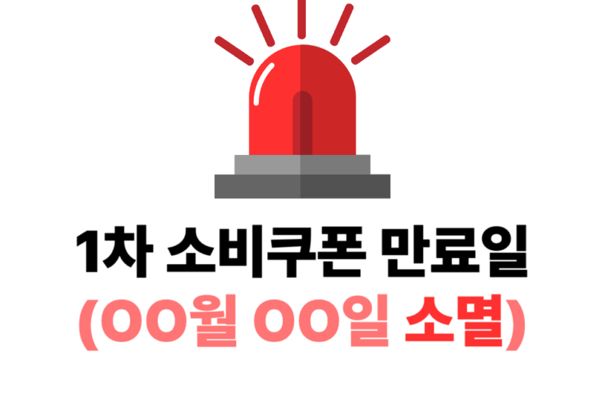 1차 소비쿠폰 만료일