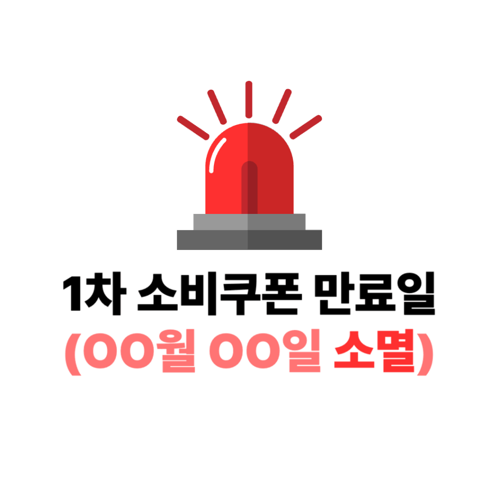 1차 소비쿠폰 만료일
